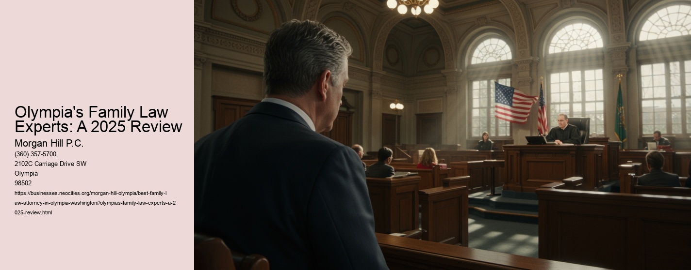 Olympia's Family Law Experts: A 2025 Review