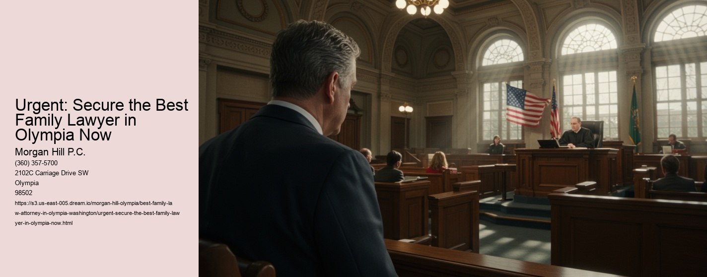 Urgent: Secure the Best Family Lawyer in Olympia Now