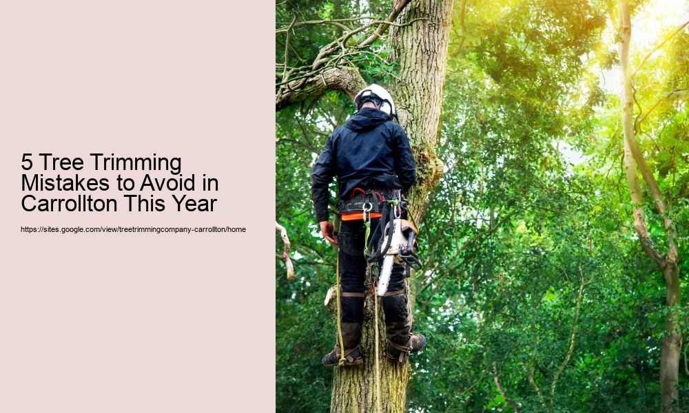 5 Tree Trimming Mistakes to Avoid in Carrollton This Year
