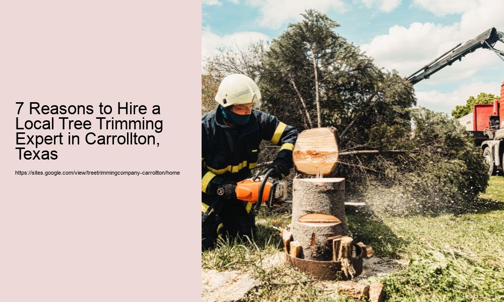 7 Reasons to Hire a Local Tree Trimming Expert in Carrollton, Texas