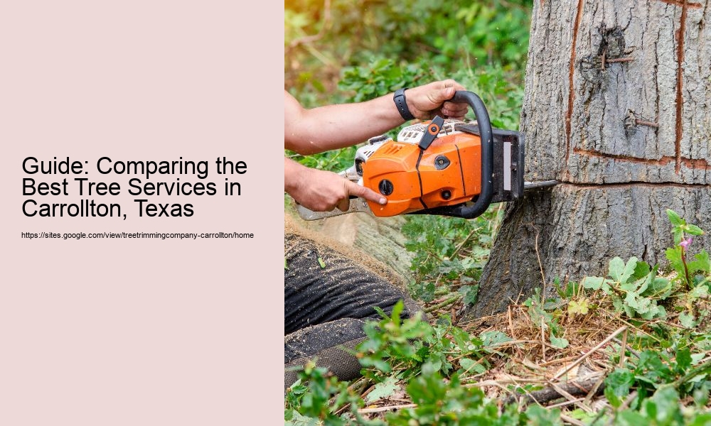 Guide: Comparing the Best Tree Services in Carrollton, Texas