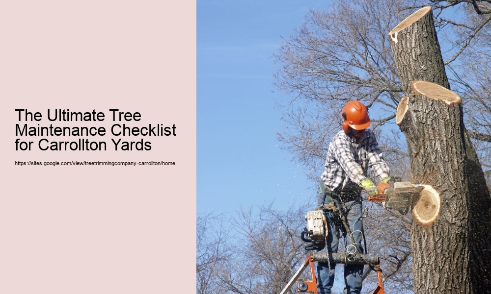 The Ultimate Tree Maintenance Checklist for Carrollton Yards