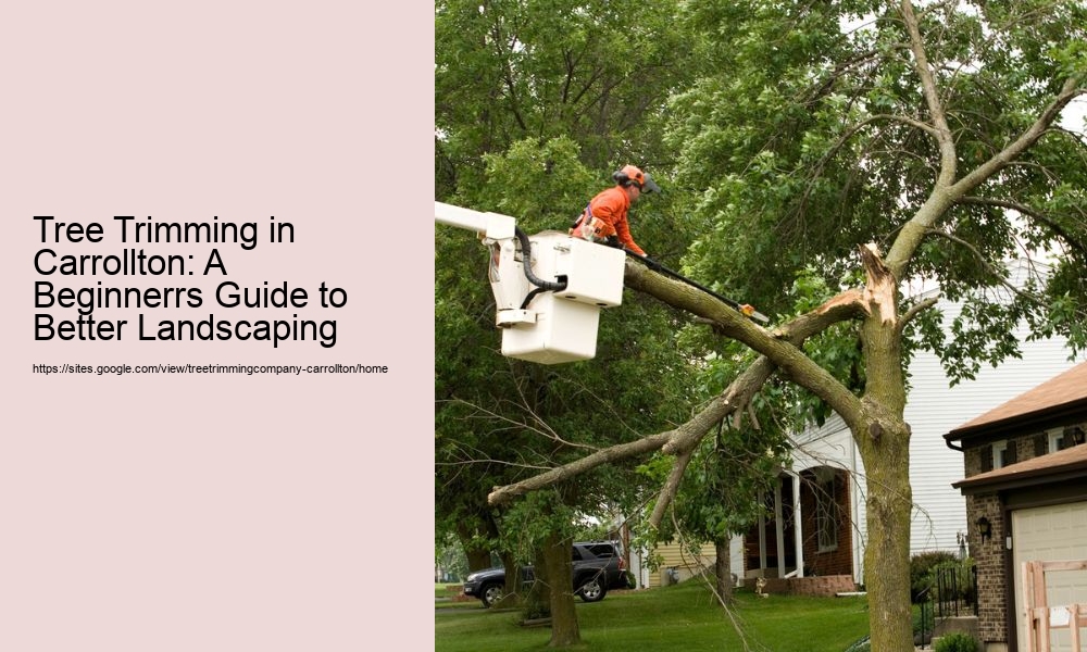 Tree Trimming in Carrollton: A Beginnerrs Guide to Better Landscaping