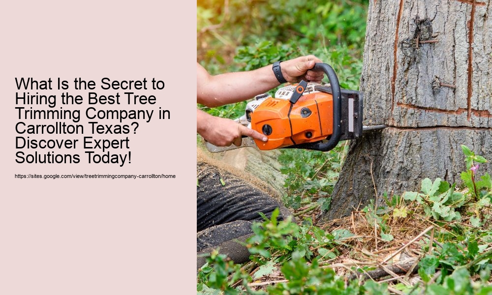 What Is the Secret to Hiring the Best Tree Trimming Company in Carrollton Texas? Discover Expert Solutions Today!